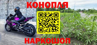 Альфа ПВП Кингисепп
