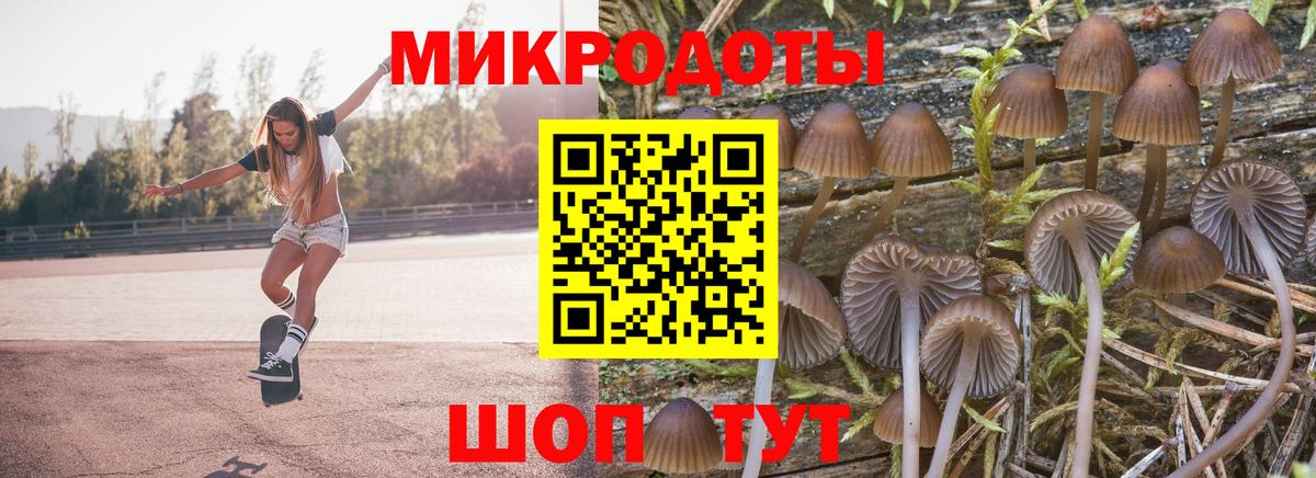 Томск  Галлюциногенные грибы ЛСД  Вход с VPN  Псилоцибиновые грибы мицелий 